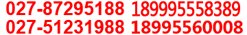 �ȵ�